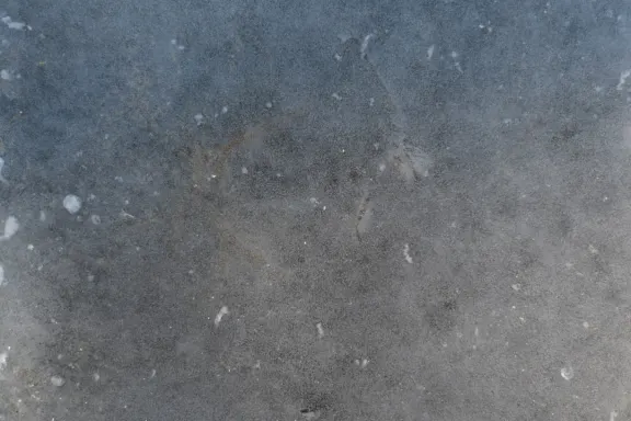 Casino Coins Game Kundeservice